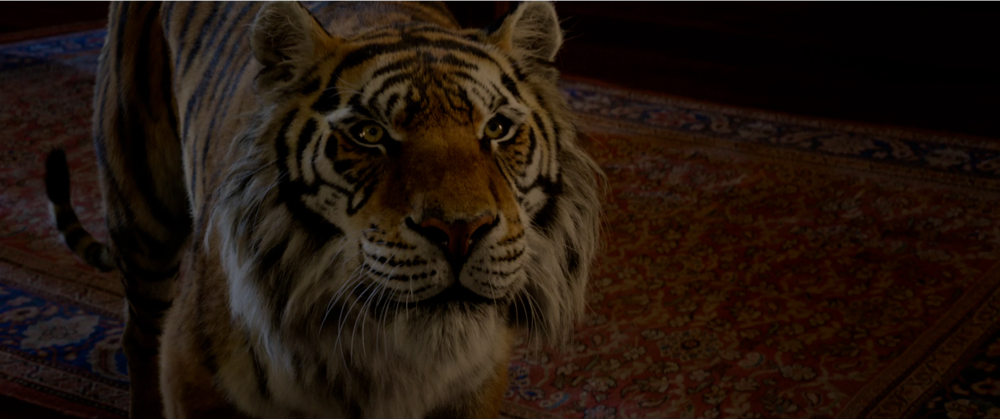 Still frame 55 from Aladdin (2019) directed by Guy Ritchie