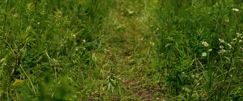 Still frame 110 from Alice, Darling (2022) directed by Mary Nighy