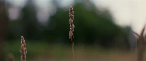 Still frame 128 from Alice, Darling (2022) directed by Mary Nighy