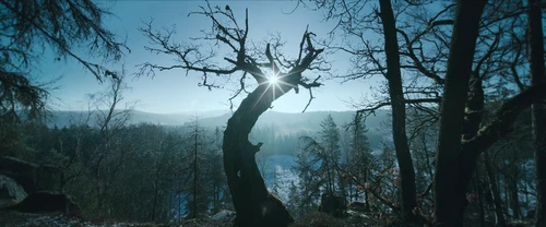 Still frame 105 from All Quiet on the Western Front (2022) directed by Edward Berger