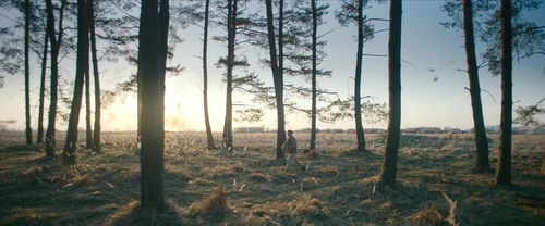 Still frame 117 from All Quiet on the Western Front (2022) directed by Edward Berger