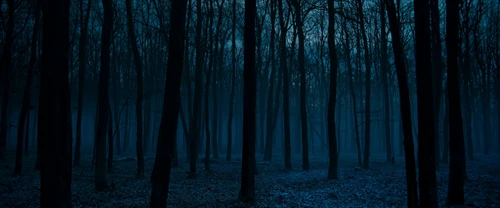Still frame 252 from All Quiet on the Western Front (2022) directed by Edward Berger