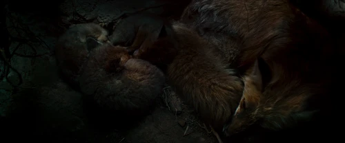 Still frame 3 from All Quiet on the Western Front (2022) directed by Edward Berger