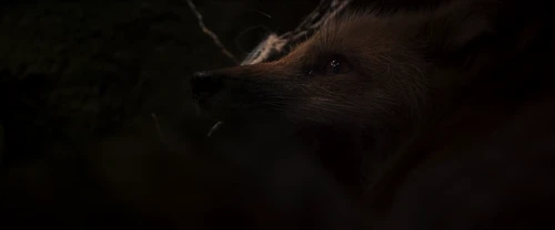 Still frame 4 from All Quiet on the Western Front (2022) directed by Edward Berger