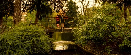 Still frame 17 from Amelie (2001) directed by Jean-Pierre Jeunet