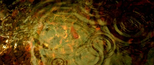 Still frame 18 from Amelie (2001) directed by Jean-Pierre Jeunet