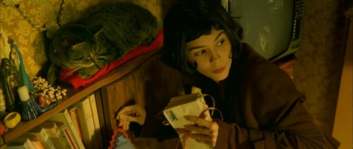 Still frame 235 from Amelie (2001) directed by Jean-Pierre Jeunet
