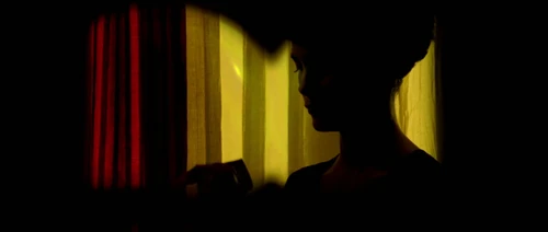 Still frame 245 from Amelie (2001) directed by Jean-Pierre Jeunet
