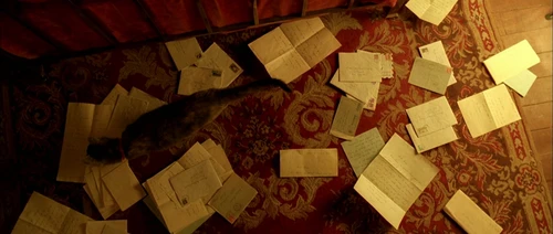 Still frame 248 from Amelie (2001) directed by Jean-Pierre Jeunet