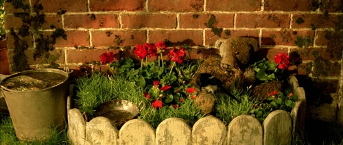 Still frame 26 from Amelie (2001) directed by Jean-Pierre Jeunet