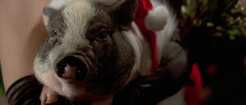 Still frame 63 from American Psycho (2000) directed by Mary Harron