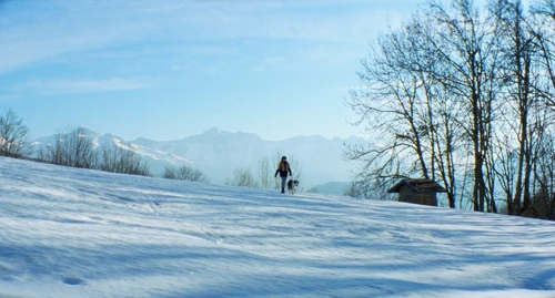 Still frame 8 from Anatomy of a Fall (2023) directed by Justine Triet