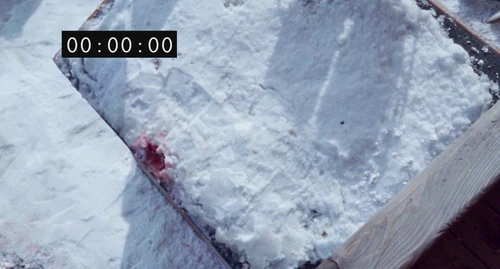 Still frame 125 from Anatomy of a Fall (2023) directed by Justine Triet