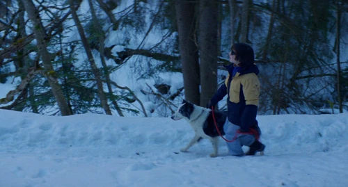 Still frame 9 from Anatomy of a Fall (2023) directed by Justine Triet