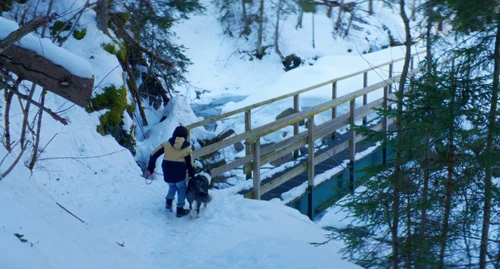 Still frame 10 from Anatomy of a Fall (2023) directed by Justine Triet