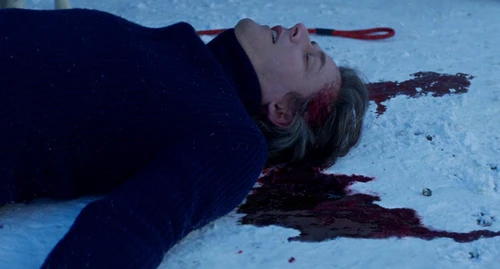 Still frame 12 from Anatomy of a Fall (2023) directed by Justine Triet