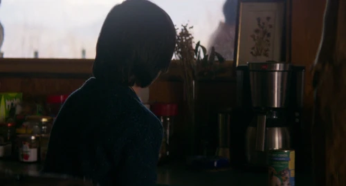 Still frame 200 from Anatomy of a Fall (2023) directed by Justine Triet
