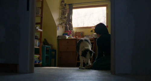 Still frame 201 from Anatomy of a Fall (2023) directed by Justine Triet