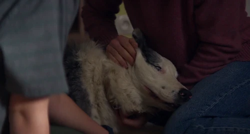 Still frame 205 from Anatomy of a Fall (2023) directed by Justine Triet