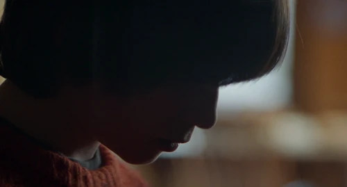Still frame 214 from Anatomy of a Fall (2023) directed by Justine Triet