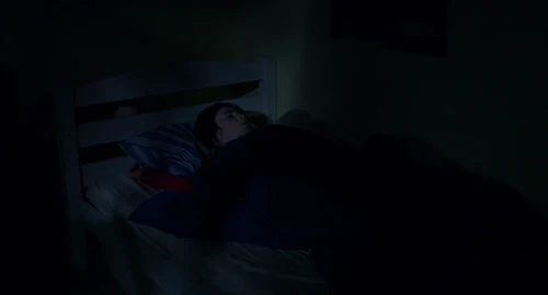 Still frame 235 from Anatomy of a Fall (2023) directed by Justine Triet