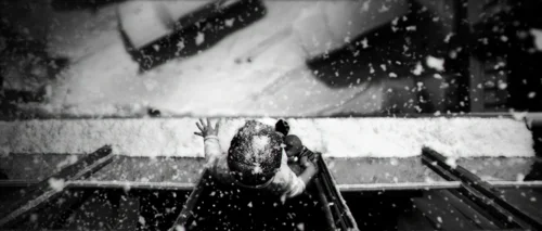 Still frame 4 from Antichrist (2009) directed by Lars von Trier