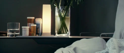Still frame 10 from Antichrist (2009) directed by Lars von Trier