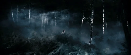 Still frame 15 from Antichrist (2009) directed by Lars von Trier