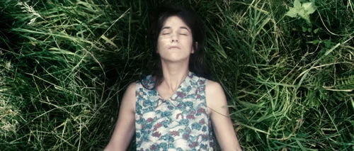 Still frame 17 from Antichrist (2009) directed by Lars von Trier