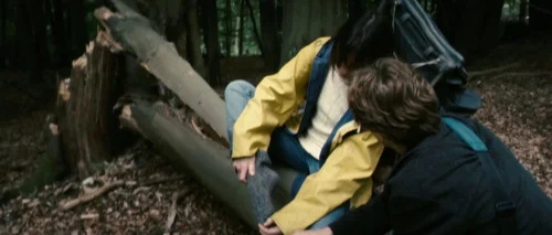 Still frame 24 from Antichrist (2009) directed by Lars von Trier