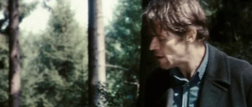 Still frame 21 from Antichrist (2009) directed by Lars von Trier