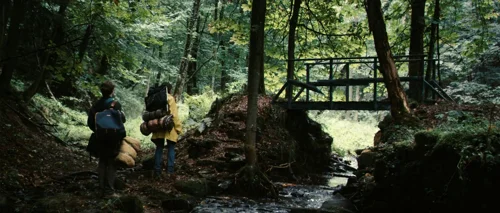 Still frame 23 from Antichrist (2009) directed by Lars von Trier