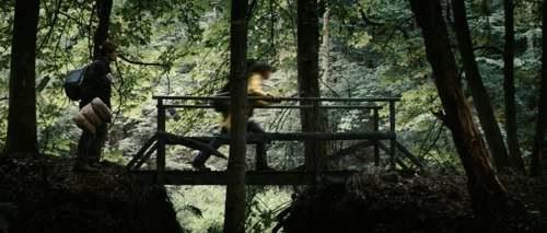 Still frame 20 from Antichrist (2009) directed by Lars von Trier