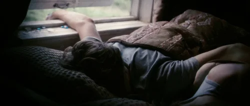 Still frame 26 from Antichrist (2009) directed by Lars von Trier