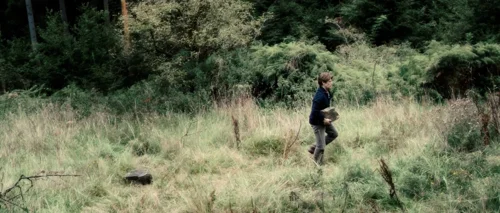 Still frame 28 from Antichrist (2009) directed by Lars von Trier