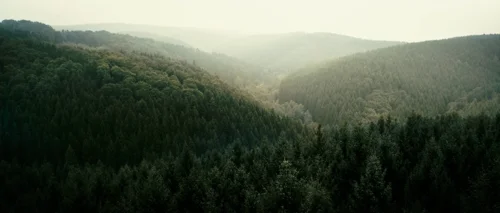 Still frame 31 from Antichrist (2009) directed by Lars von Trier