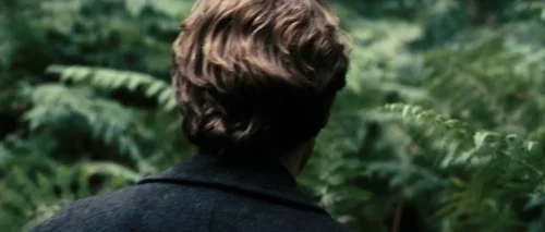 Still frame 39 from Antichrist (2009) directed by Lars von Trier