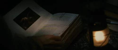 Still frame 44 from Antichrist (2009) directed by Lars von Trier