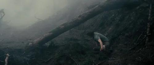 Still frame 53 from Antichrist (2009) directed by Lars von Trier