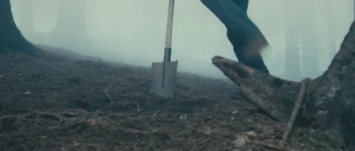 Still frame 56 from Antichrist (2009) directed by Lars von Trier