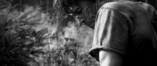Still frame 64 from Antichrist (2009) directed by Lars von Trier