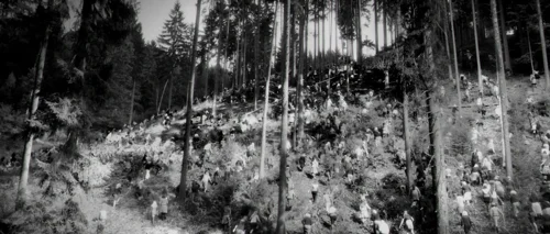 Still frame 66 from Antichrist (2009) directed by Lars von Trier