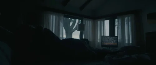 Still frame 8 from Arrival (2016) directed by Denis Villeneuve