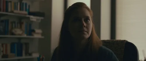 Still frame 11 from Arrival (2016) directed by Denis Villeneuve