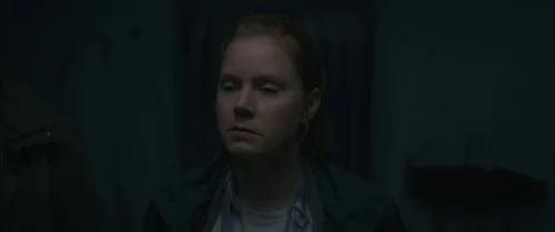 Still frame 15 from Arrival (2016) directed by Denis Villeneuve