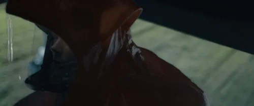 Still frame 19 from Arrival (2016) directed by Denis Villeneuve