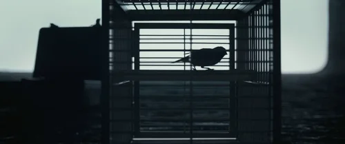 Still frame 25 from Arrival (2016) directed by Denis Villeneuve