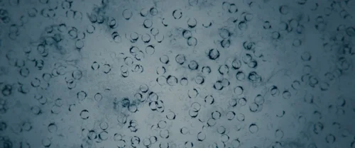 Still frame 72 from Arrival (2016) directed by Denis Villeneuve