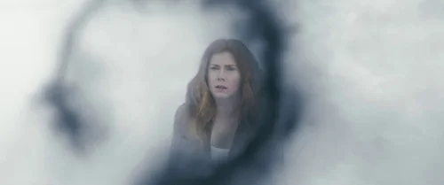 Still frame 80 from Arrival (2016) directed by Denis Villeneuve