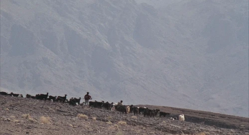 Still frame 63 from Babel (2006) directed by Alejandro G. Iñárritu